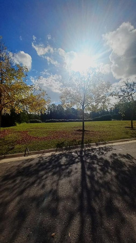 Imagen 6 de 13 de Oportunidad Lote En Venta Al Rio En El Yacht - Nordelta - Tigre