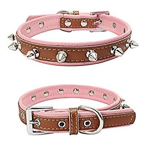 Avenpets Genuine Leather Padded Dog Collar With One Jwr9l