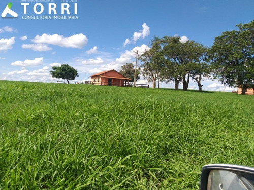 Imagem 17 de 20 de Fazenda À Venda Em Alto Alegre - Fa00176 - 69382951