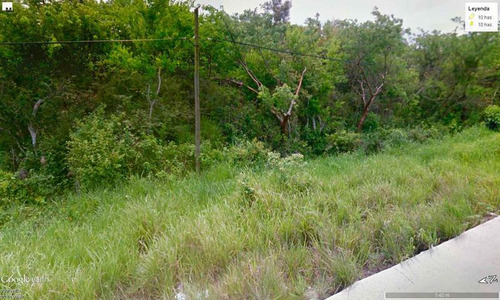 Venta Terreno 10 Hectáreas Carretera Tuxpan - Tamiahua Veracruz