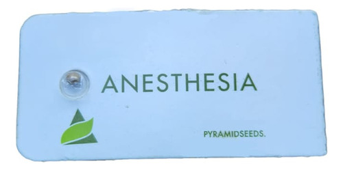 Semilla De Colección Anesthesia X1 - Pyramid Seed
