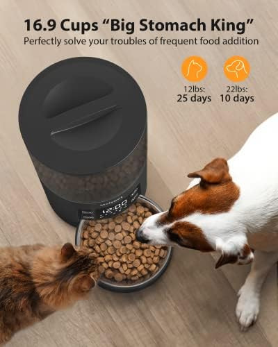 Comederos Automáticos Para Gatos Molypet Con Temporizador -