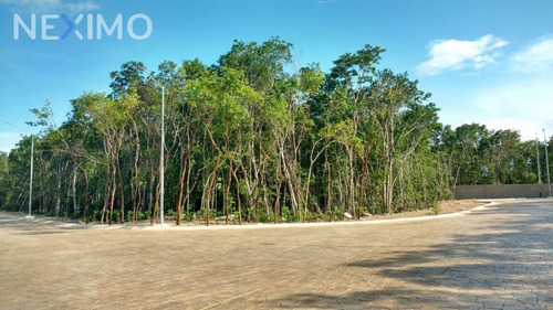 Imagen 6 de 9 de Terreno En Venta En Complejo Premium De Playa Del Carmen, Quintana Roo