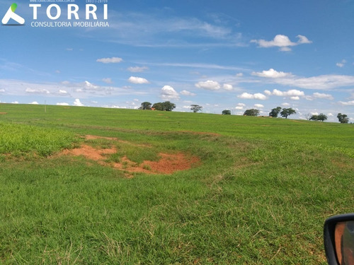 Imagem 11 de 20 de Fazenda À Venda Em Alto Alegre - Fa00176 - 69382951