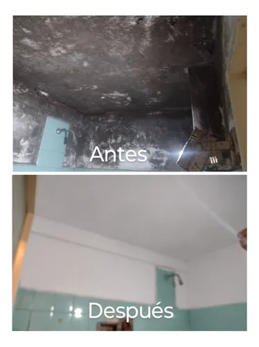 Pintor Profesional Responsable , Honesto