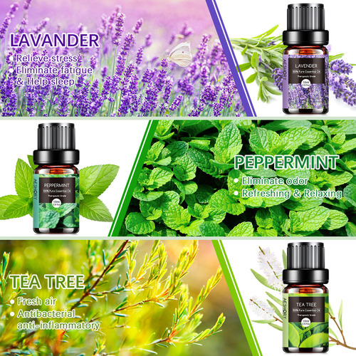 Aeshory Kit De 6 Aceites Esenciales Para Difusor Y Aromaterapia Y Spa 10 Ml - Lavanda, Árbol De Té, Eucalipto, Naranja Dulce, Menta, Limoncillo.these Aromatherapy Oils Perfect For Diy Scented Candles