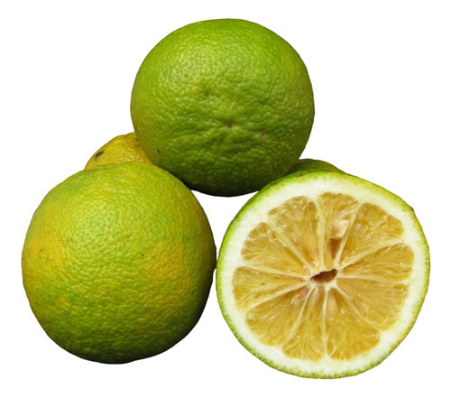 10 Sementes Para Mudas Real Laranja Da Terra Para Fazer Doce