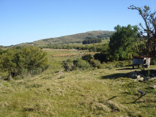 Imagen 6 de 18 de Campo 98 Has Con 2891 M2 En Carape Cuenta Con Costa De Arroyo.