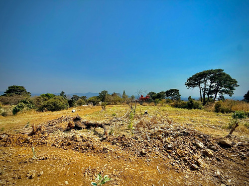 Terreno Rustico En Ocotepec