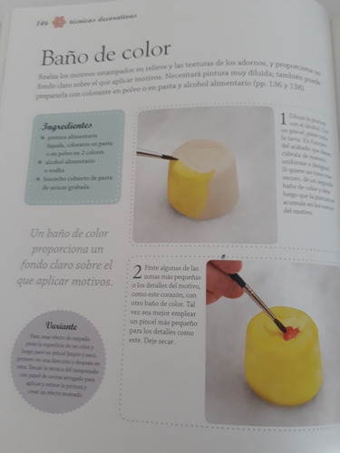 Libro Completo De Tortas Decoradas , Paso A Paso.