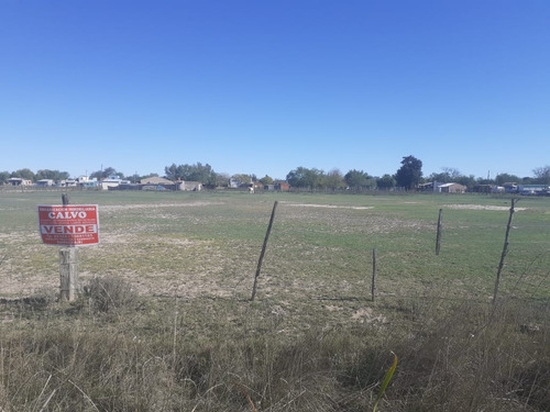 Oportunidad De Inversión: Quinta De 1 Hectárea Apta Para Loteo Ubicada En Suipacha, Provincia De Buenos Aires