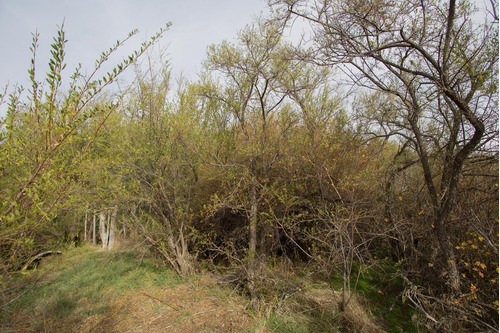 Terreno Lote En Venta En Las Marías Del Valle, San Martin De Los Andes, Patagonia