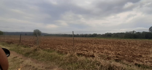 Imagem 16 de 29 de Fazenda 155 Alqueires, Terra Fértil, Rica Em Água Com Rio, 120 Alqueires Para Lavoura, 20 Alqueires Em Eucalipto, Casa Sede, Casa Caseiro, Curral - Fa00262 - 70837159