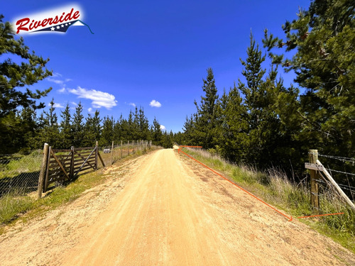 Parcela Con Gran Bosque, Ideal Para Refugio, Bucalemu