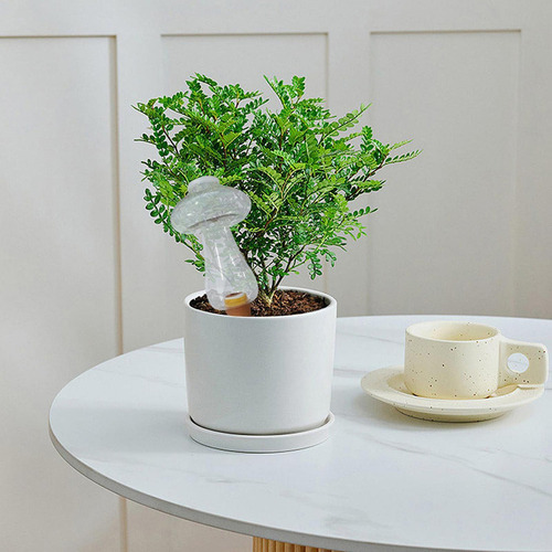 G Bombillas De Agua Para Plantas De Interior Globos De Riego