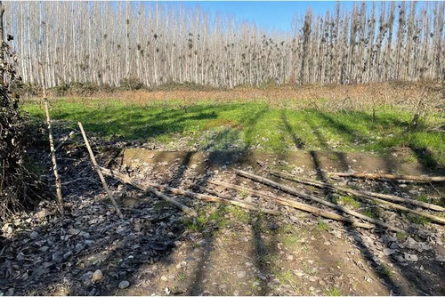 Venta De Terreno Agrícola Coltauco » Vi Región.