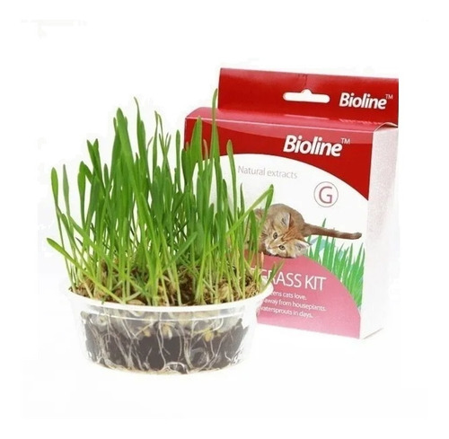 Juguete Gato Cat Grass Hierba Gatera Catnip Pasto Bioline Ki