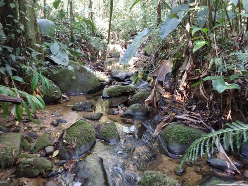 Imagem 4 de 21 de Linda Chácara Medindo 5,7 Alqueires Localizada No Anhaia Por R$280.000 Morretes Pr - Ch0147