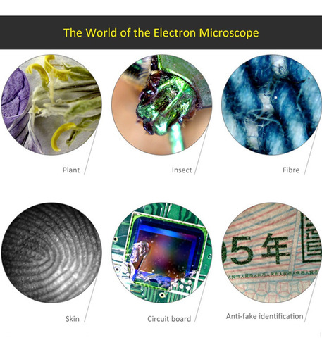 P Microscopio Digital 1000x Magnification Usb Con 8 Led