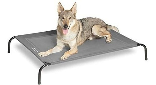 Cama Elevada Para Exteriores Para Perros