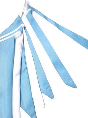 Banderines Argentina Tela Doble Tira 10 Mts. Para Colgar