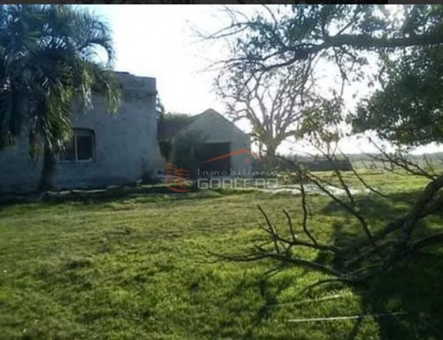 Campo Ganadero En Venta Rocha, Zona De Castillos- Ref: 26231
