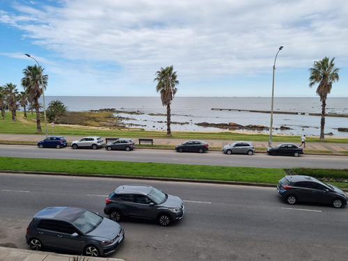 Imagen 1 de 30 de Rambla De Punta Carretas, Moderno Edificio Con Piscina, Gimnasio, Barbacoa !!