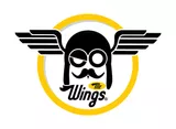 Mr. Wings