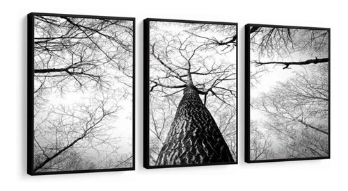 Kit Quadros Decorativos Paisagem Árvore Preto E Branco Sala Cor Da Armação Preto Cor Preto