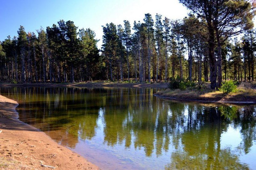 Imagen 5 de 25 de Venta - Lote Con Vista A Laguna Y Bosque En Viilla Robles - Barrio Cerrado
