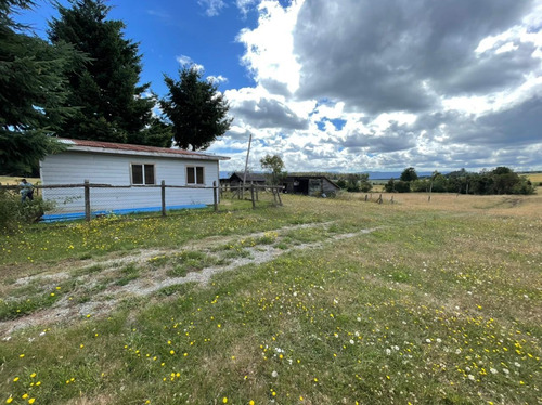 Campo De 22 Hectáreas Cercano A Fresia.
