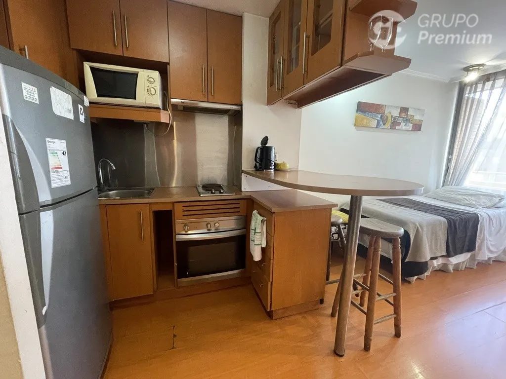 Imagen 5 de 28 de Departamento En Venta De 1 Dorm. En Providencia