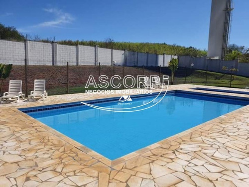 Imagem 25 de 30 de Ótimo Apartamento Térreo No Condomínio Piazza Venezia (código Ap00407) - Ap00407 - 69799115