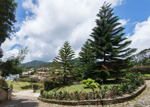 Casa En Venta En Loma Del Escobero. Cod V1148