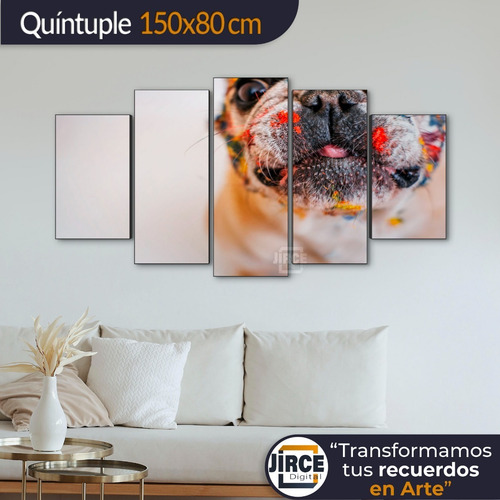 Cuadro Decorativo Moderno Perro Buldog Fránces Jd-0026 Xl Quíntuple 150x80 Cm Sin Marco