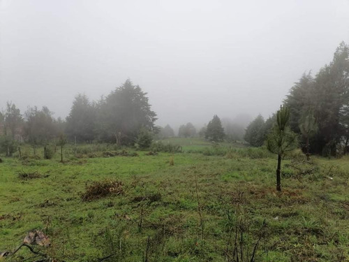 Imagen 2 de 5 de Terreno Tranquilo Panorámico En Huitzilac