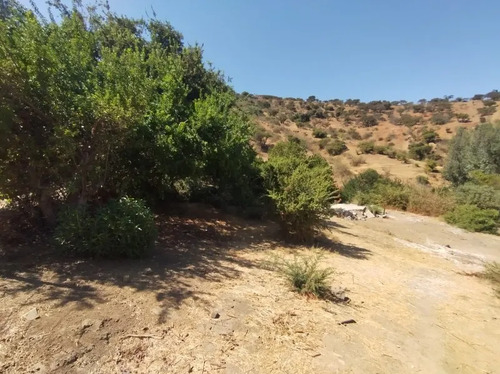 Sitio En Venta En Limache
