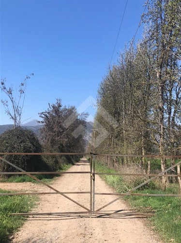 Imagen 1 de 27 de Parcela Agrícola En Venta En Paine