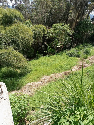 Imagen 6 de 16 de Best House Vende Terreno En San Antonio De Los Altos, Vía Al Faro.