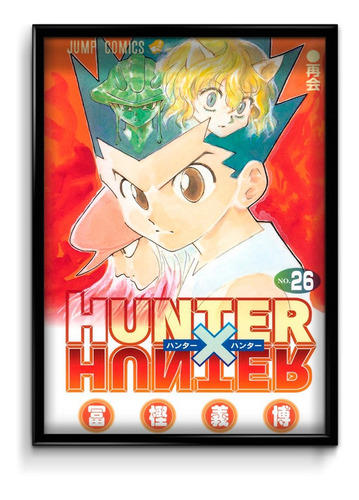 Cuadro Hunter X Hunter M5 30 X 40 Marco + Lámina + Vidrio