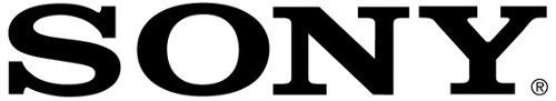 Imagen 2 de 2 de Pila Sony Micro CR2016 Botón