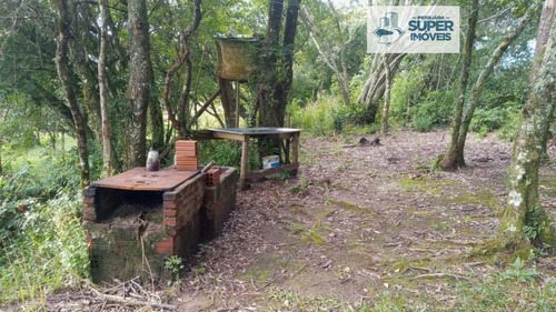 Imagem 21 de 30 de Chácara A Venda No Bairro Centro Em Morro Redondo - Rs. - 1699-1