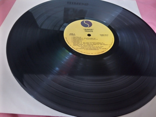 Trace Birds Vinilo Rick Van Der Linden (Usado)