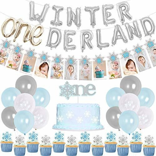 Winter Onederland Birthday Decoraciones, Winter 1st Birthday