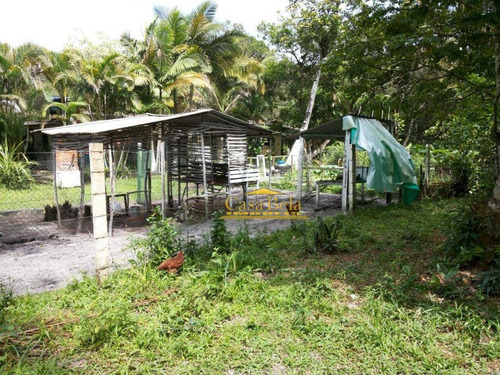 Chácara Com 1 Dormitório À Venda, 1000 M² Por R$ 65.000,00 - Chácaras Lucél - Itanhaém/sp - Ch0049