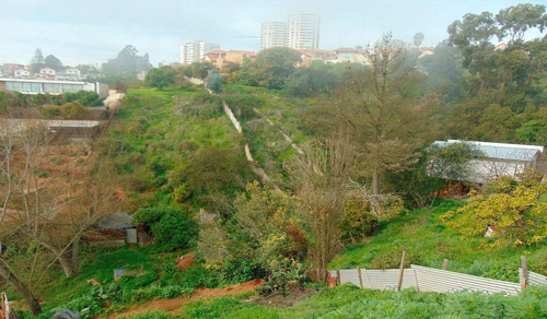 Región Valparaiso (73811)