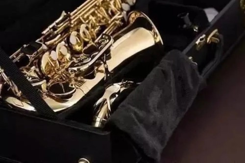Sax Alto Eagle Sa501 Saxofone Em Mib Laqueado