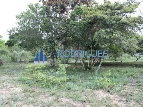 Imagem 11 de 20 de Ótimo Terreno À Venda Localizado Em Trancoso Todo Documentado E Levantamento Topográfico! - Te00126