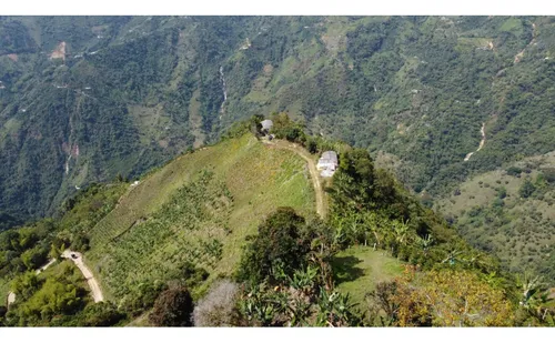 Venta Finca 77000 Mts2 Abejorral Vereda El Guaico