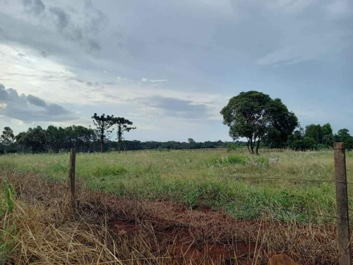 Imagem 5 de 7 de Chácara À Venda, 1000 M² Por R$ 200.000,00 - Imóvel Alwin - Foz Do Iguaçu/pr - Ch0018